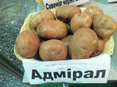 Ажур- Адмірал 150