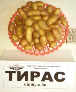 тирас21