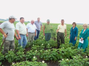 апробація насінницьких посадок